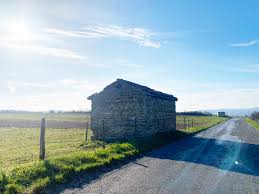 Cabane sur la route de Millery