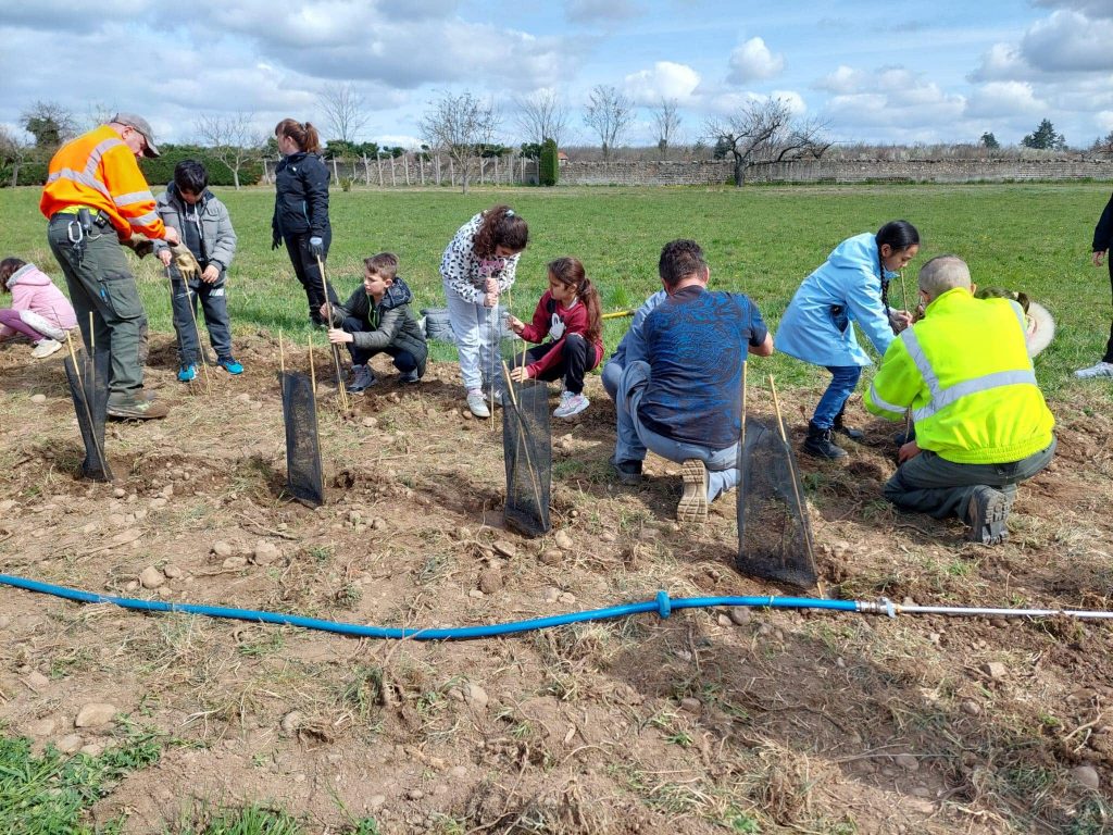 Plantation réalisé par les élèves du périscolaire avec les agents des Services Techniques